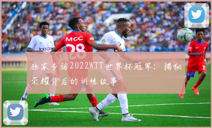独家专访2022WTT世界杯冠军：揭秘荣耀背后的训练故事