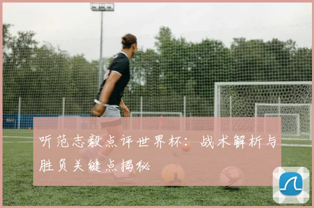 听范志毅点评世界杯：战术解析与胜负关键点揭秘